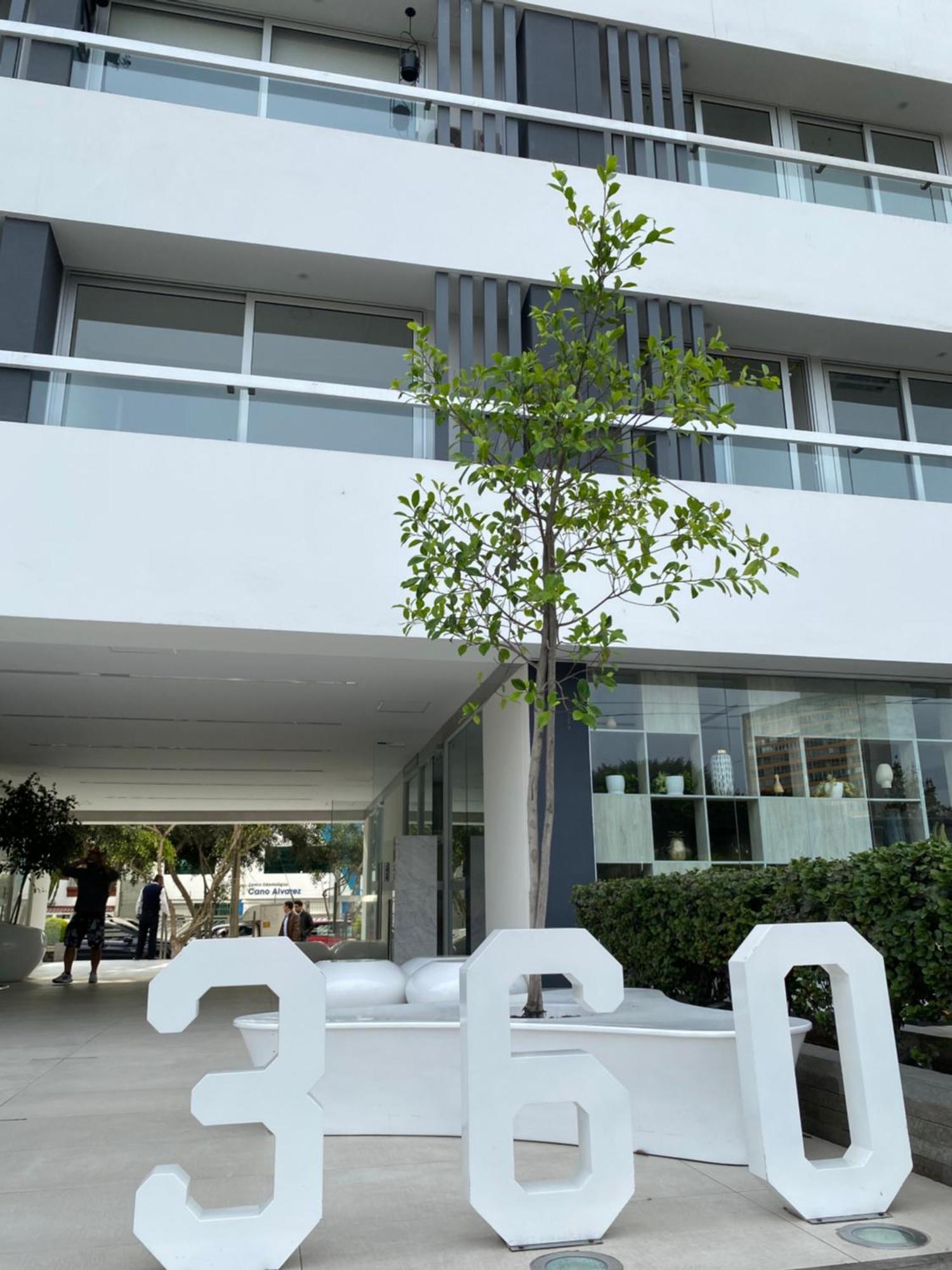 Moderno Departamento Miraflores 360 Λίμα Εξωτερικό φωτογραφία